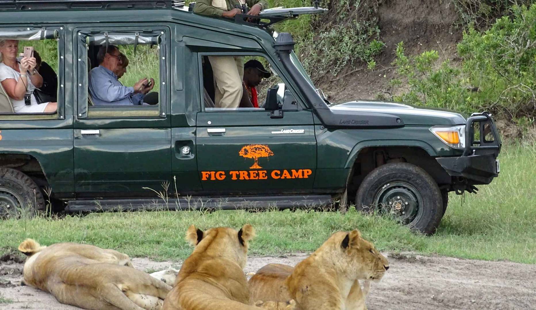 Fig Tree Camp thumbnail 6