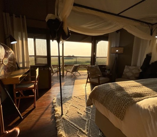 Treehouse thumbnail 5