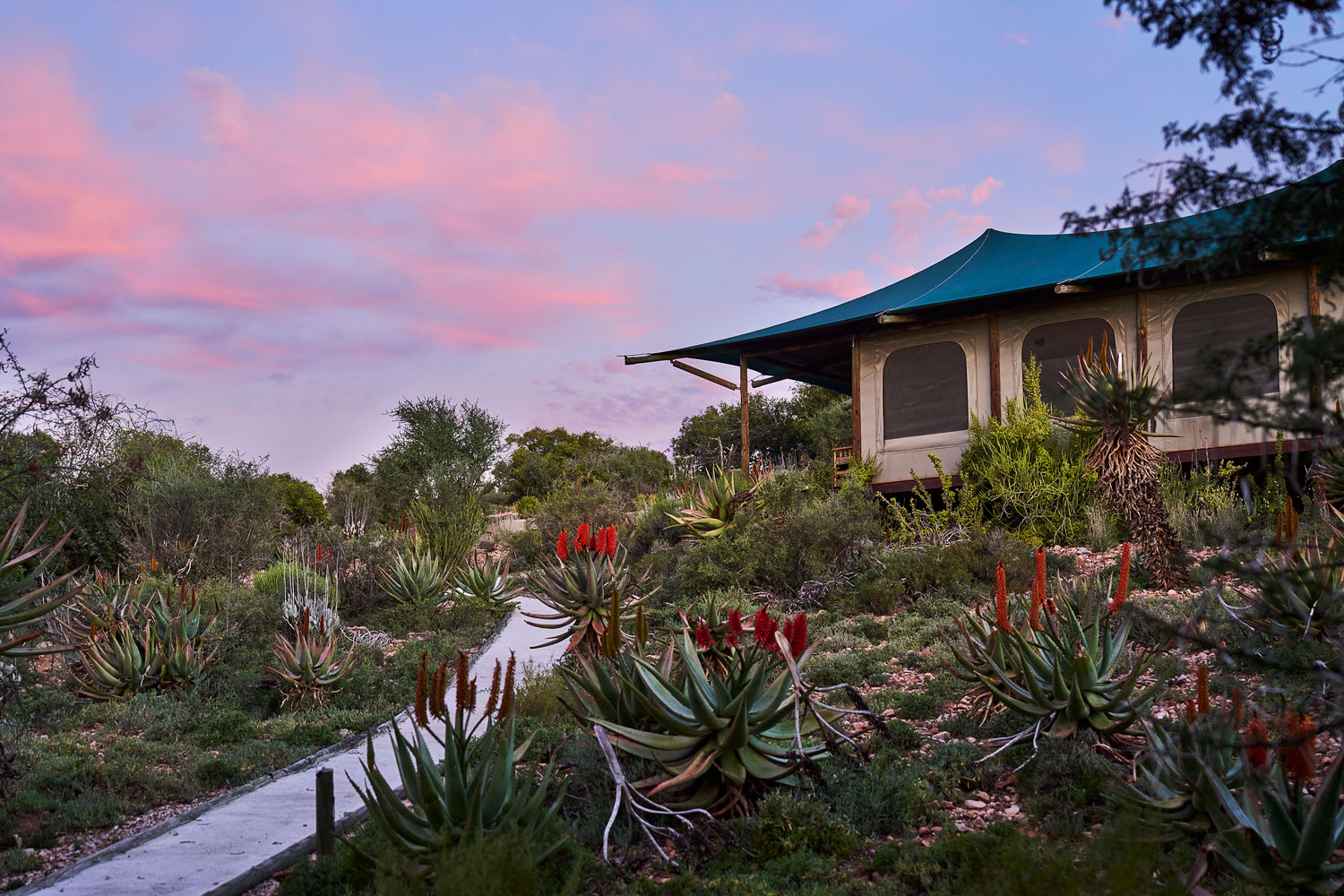 Buffelsdrift Game Lodge