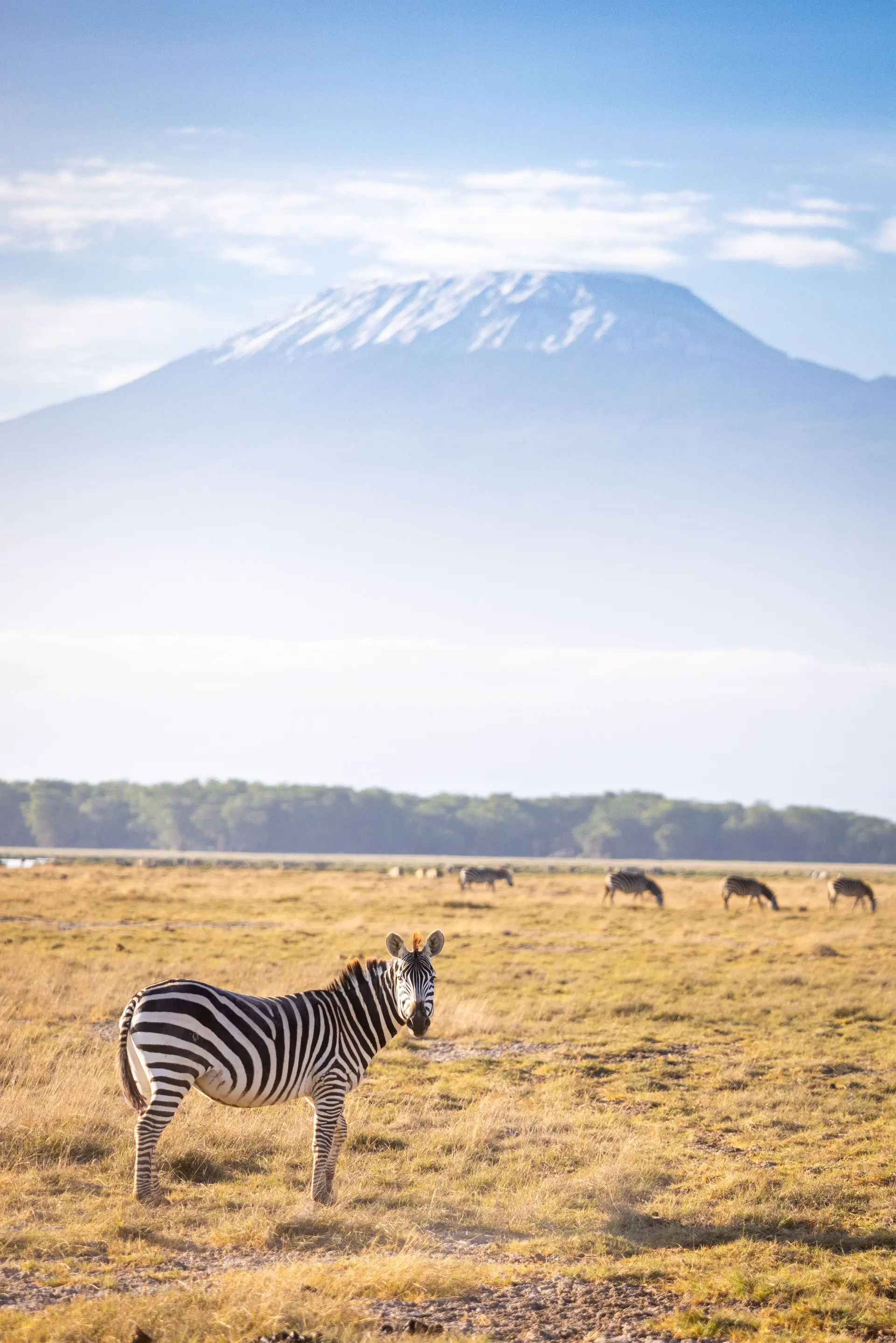 Kitirua Plains Lodge thumbnail 2