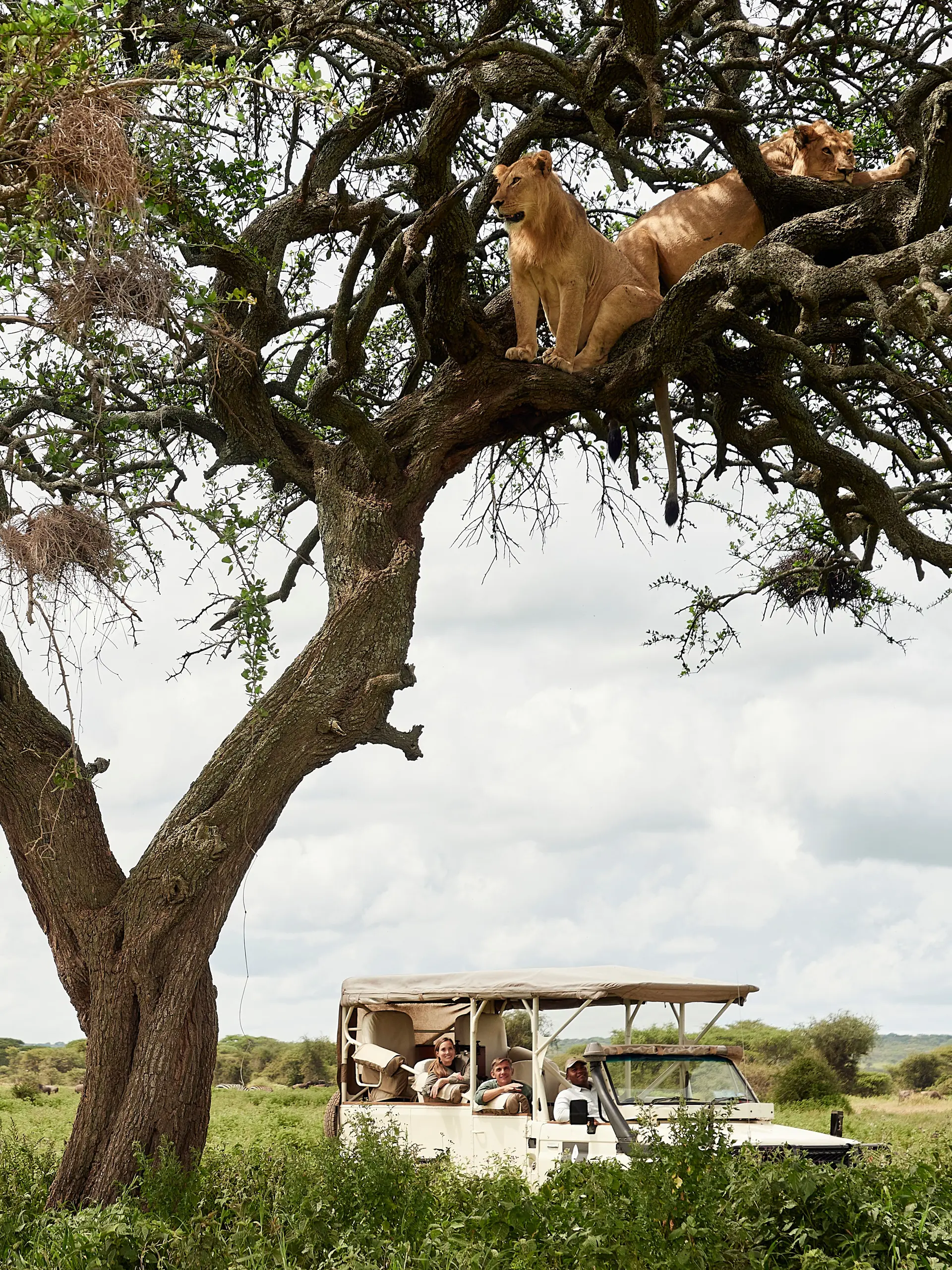 Kichakani Camp thumbnail 9