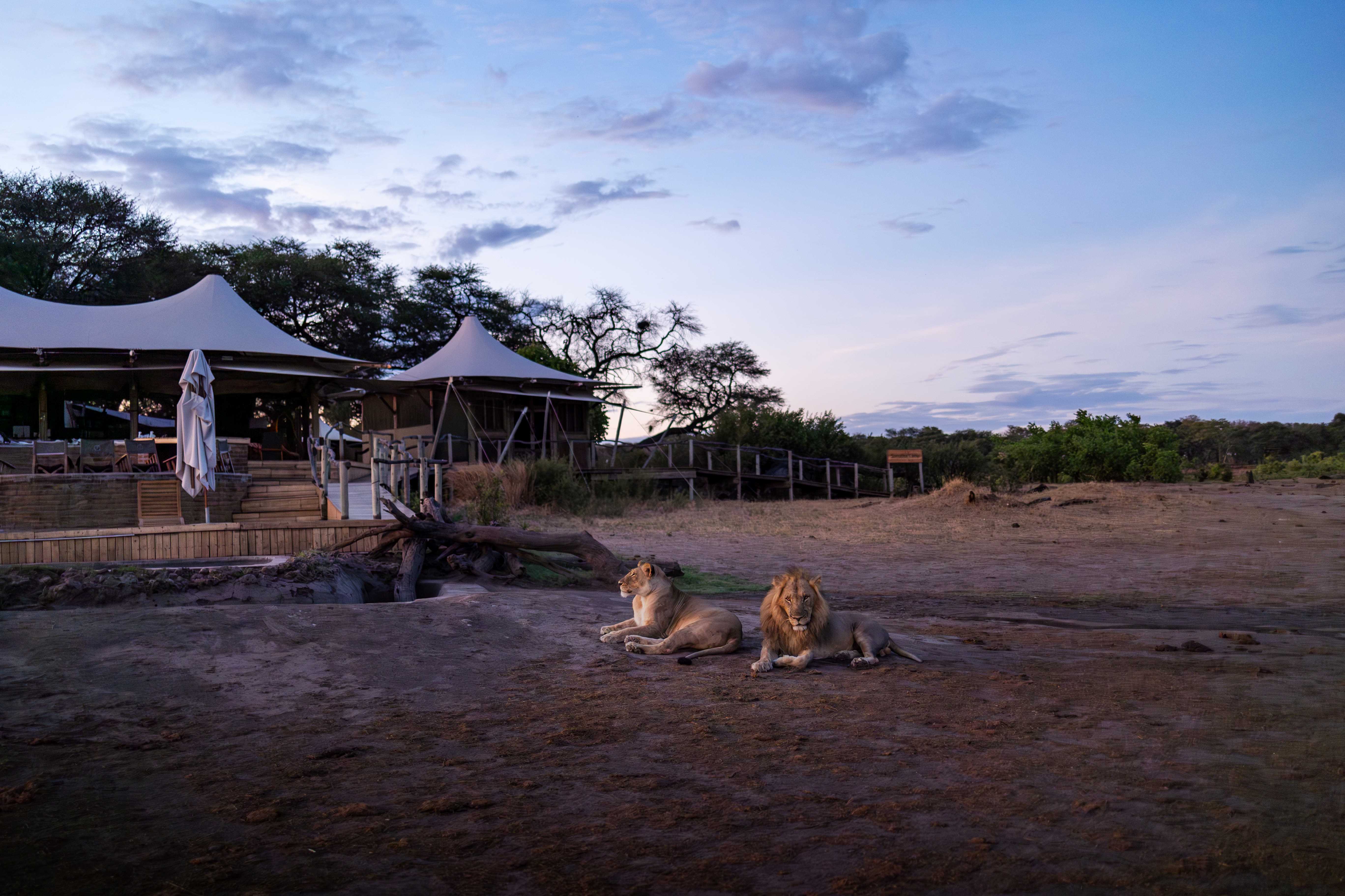 Somalisa Camp thumbnail 10