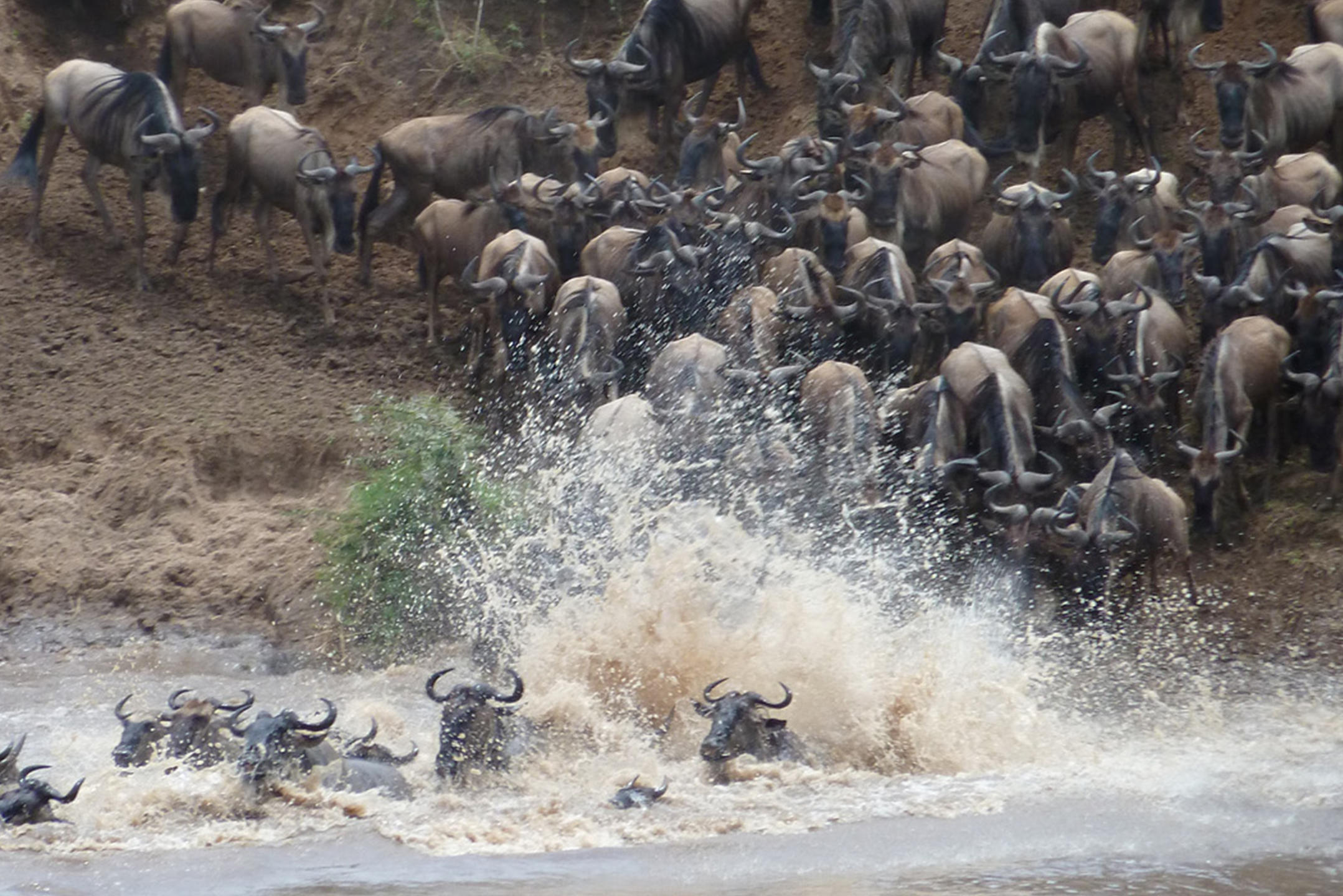 Olakira Migration Camp (North) thumbnail 4