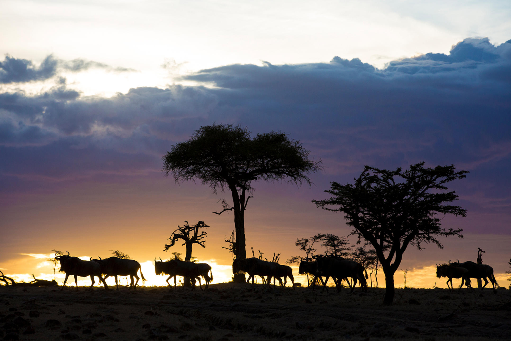 Olakira Migration Camp (North) thumbnail 9