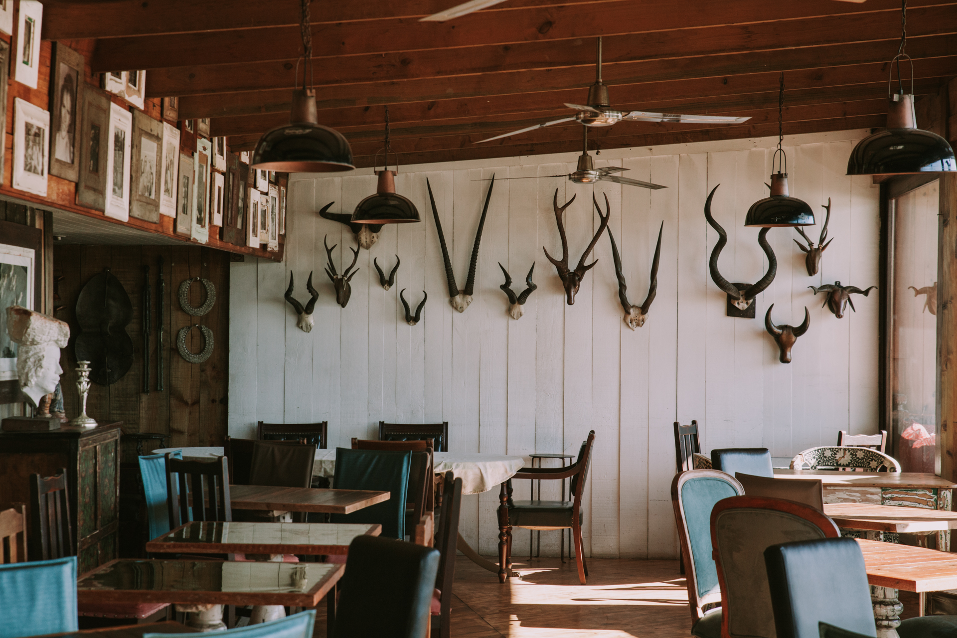 Emily Moon River Lodge thumbnail 2