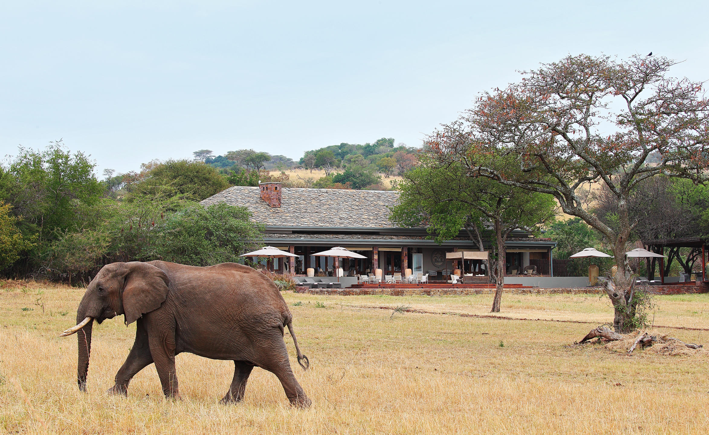Singita Serengeti House thumbnail 1