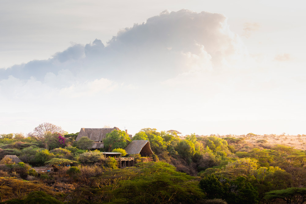 Lewa Wilderness