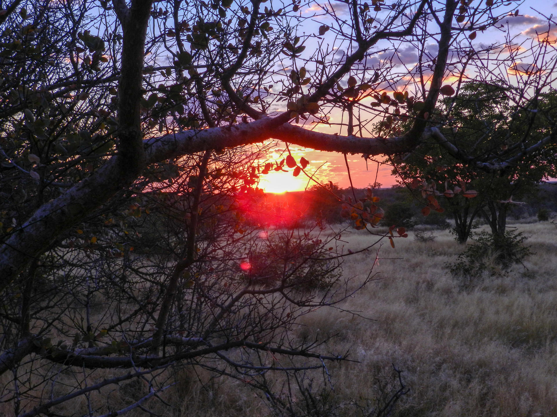 Etosha Village thumbnail 14
