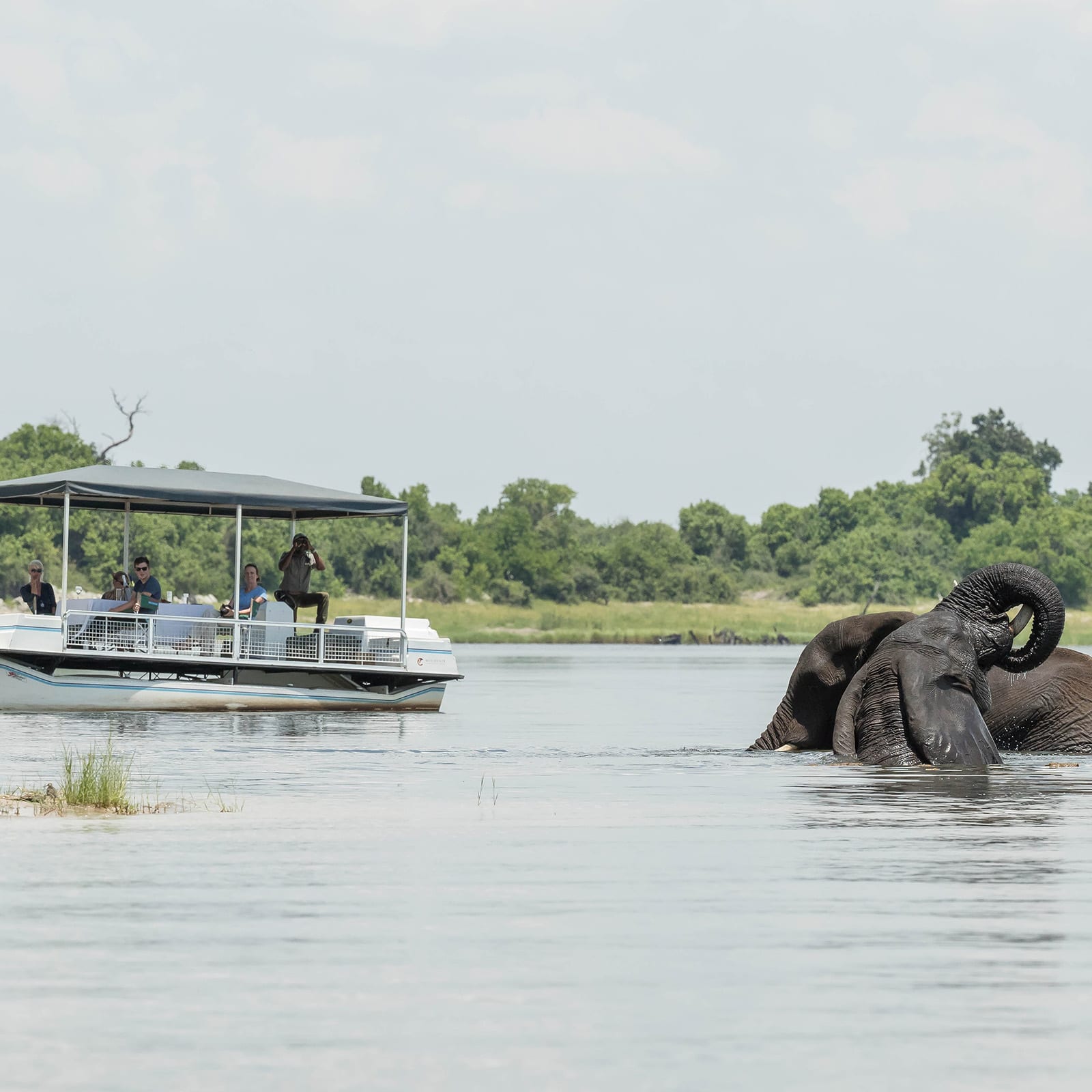 Muchenje Safari Lodge thumbnail 5