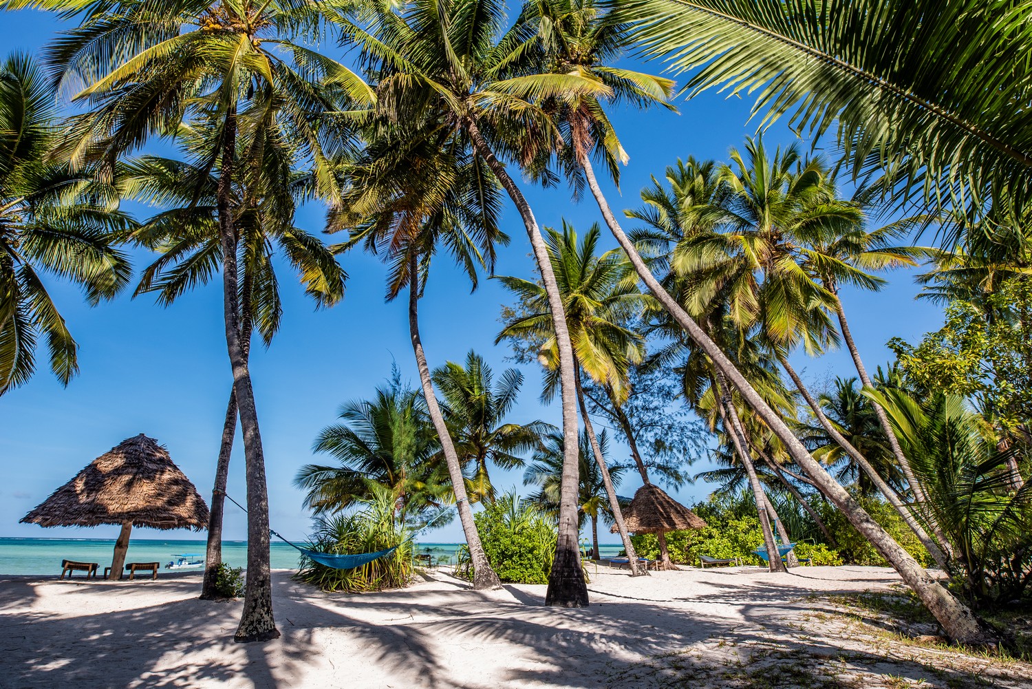 Pongwe Beach Hotel thumbnail 4