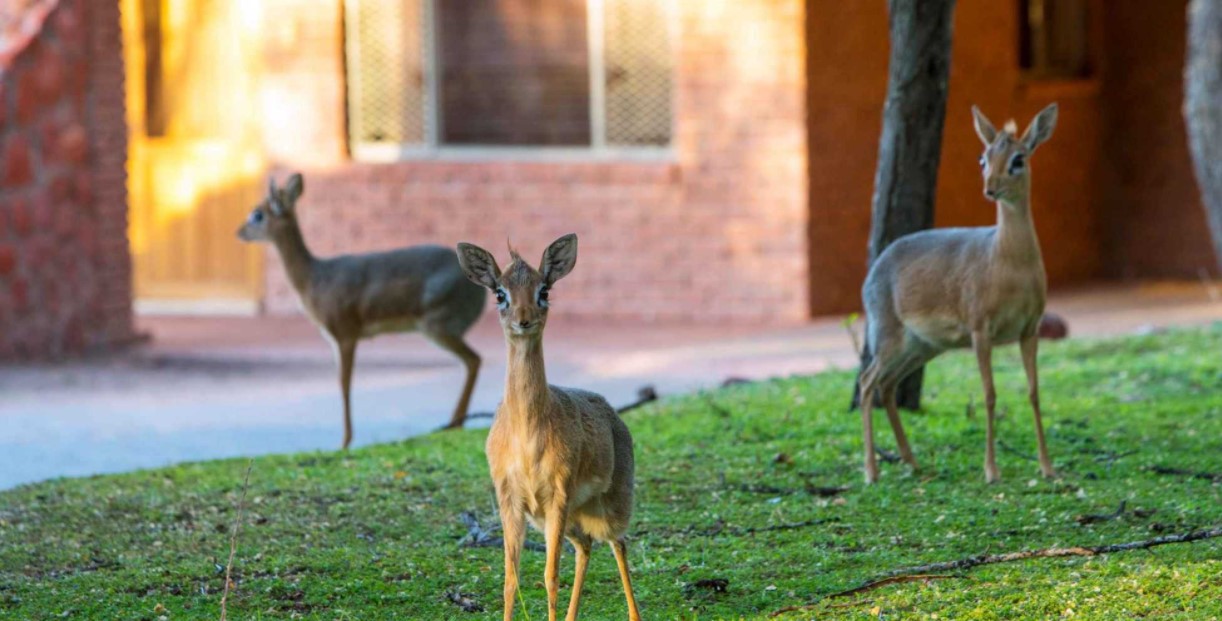 Waterberg Valley Lodge thumbnail 2