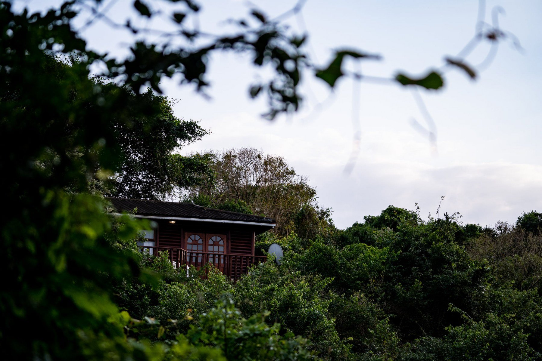 Gooderson Mtunzini Forest Lodge thumbnail 3