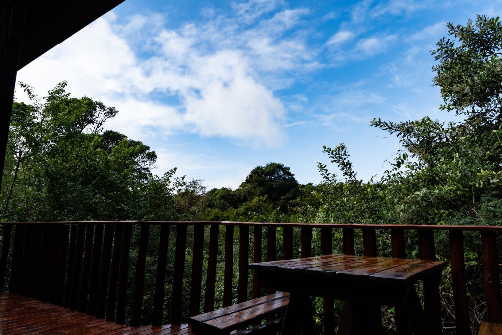Gooderson Mtunzini Forest Lodge