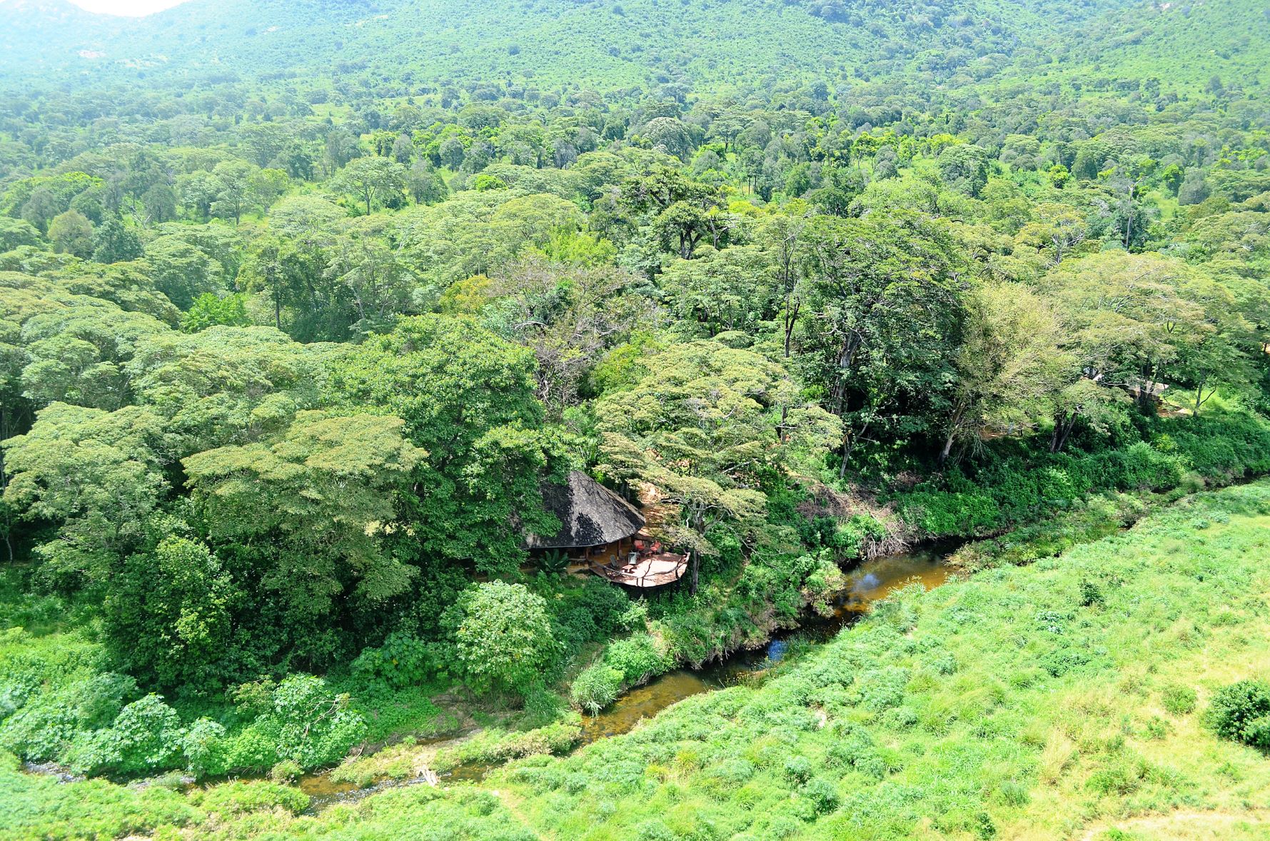 Kitich Forest Camp thumbnail 4
