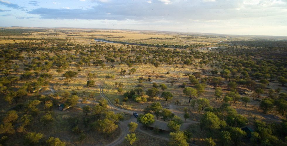Serian's Serengeti Lamai thumbnail 6