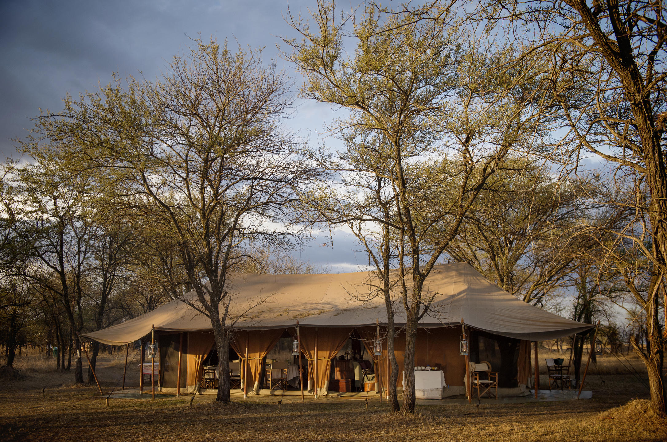 Serian's Serengeti Lamai