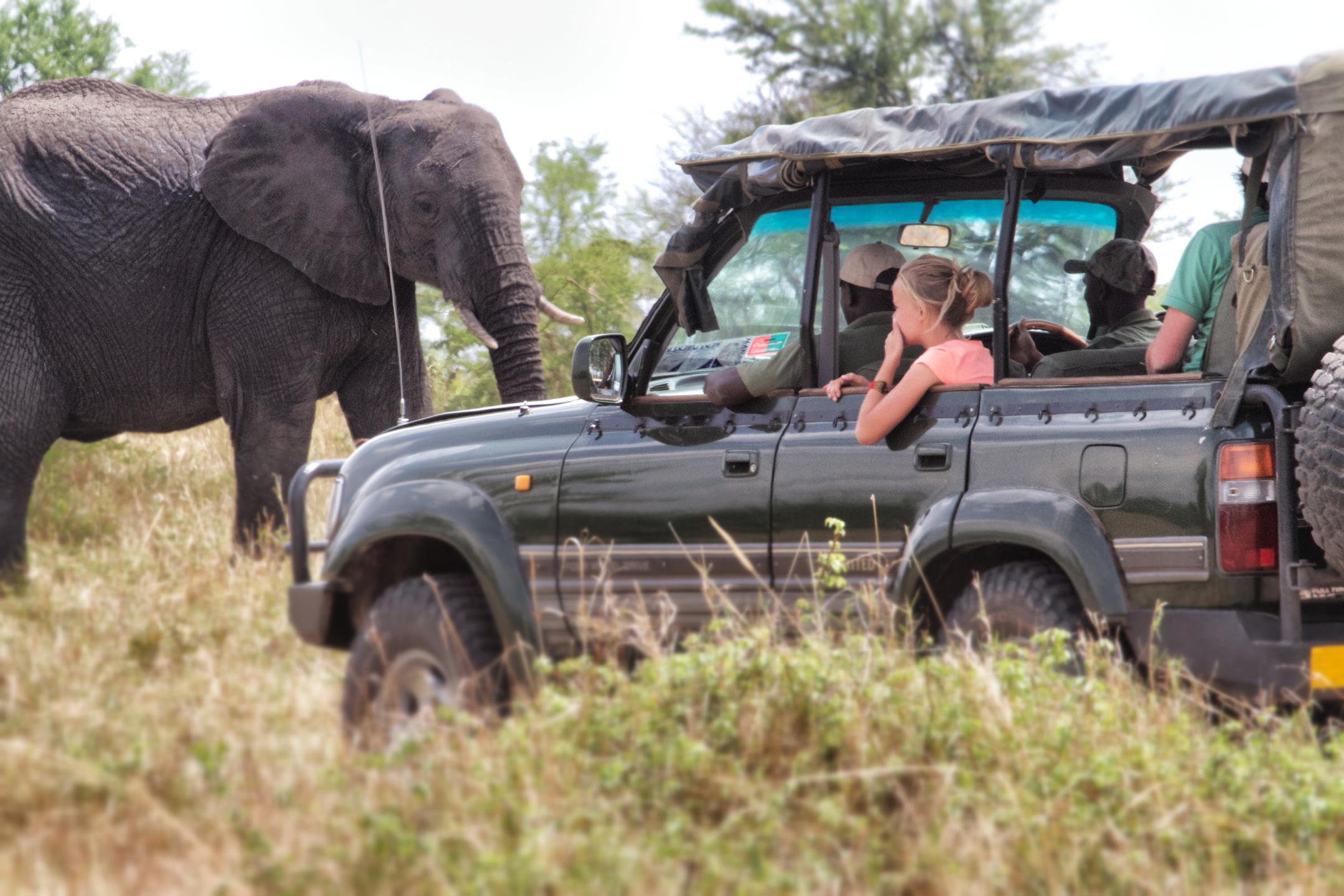 Serian's Serengeti Lamai thumbnail 3