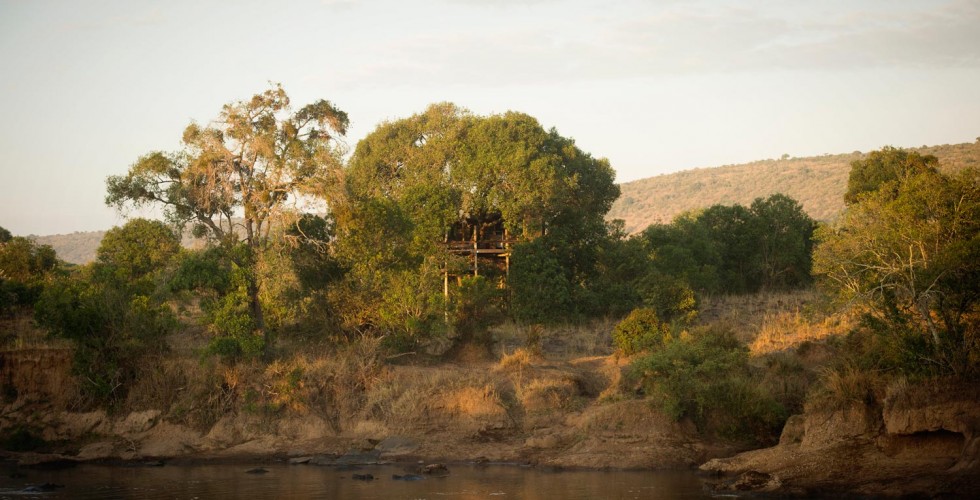 The Nest
