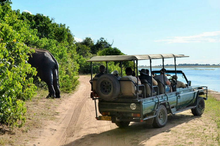 Thebe River Safaris Lodge thumbnail 3