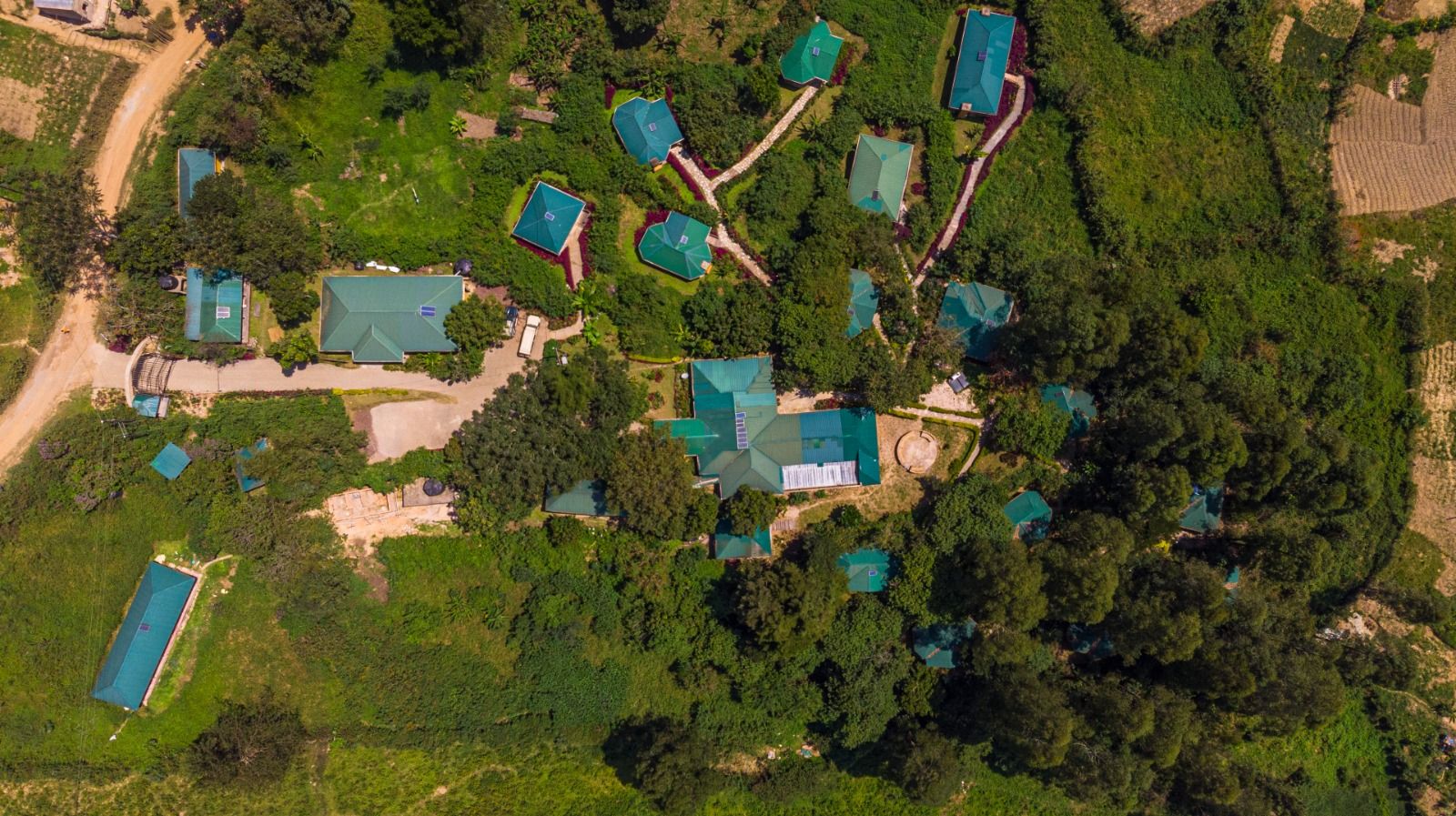 Gorilla Safari Lodge thumbnail 4