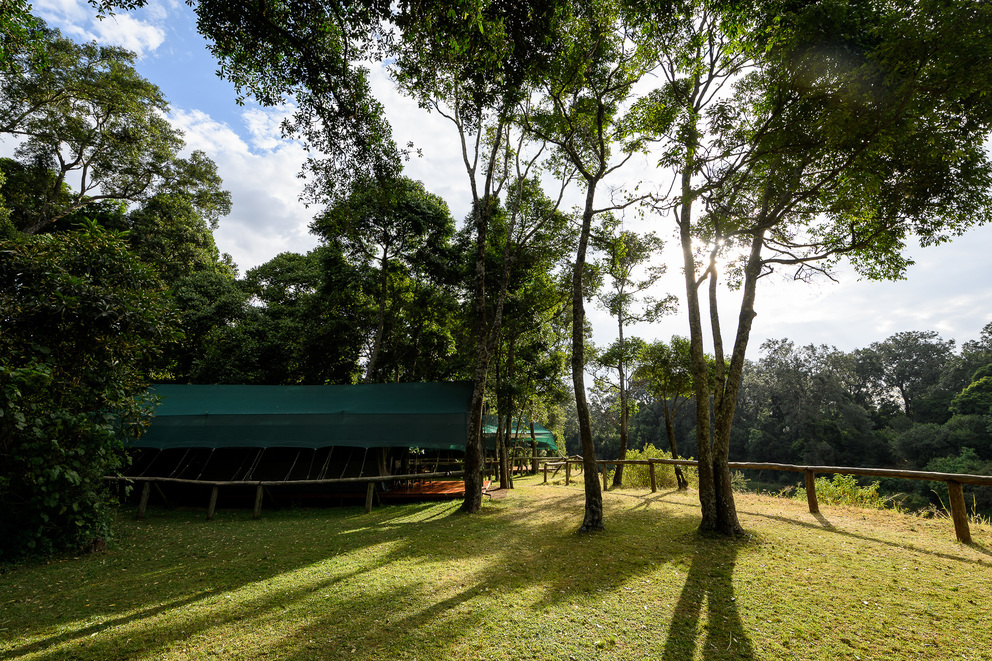 Private Camp