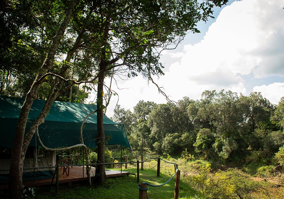 Private Camp thumbnail 6