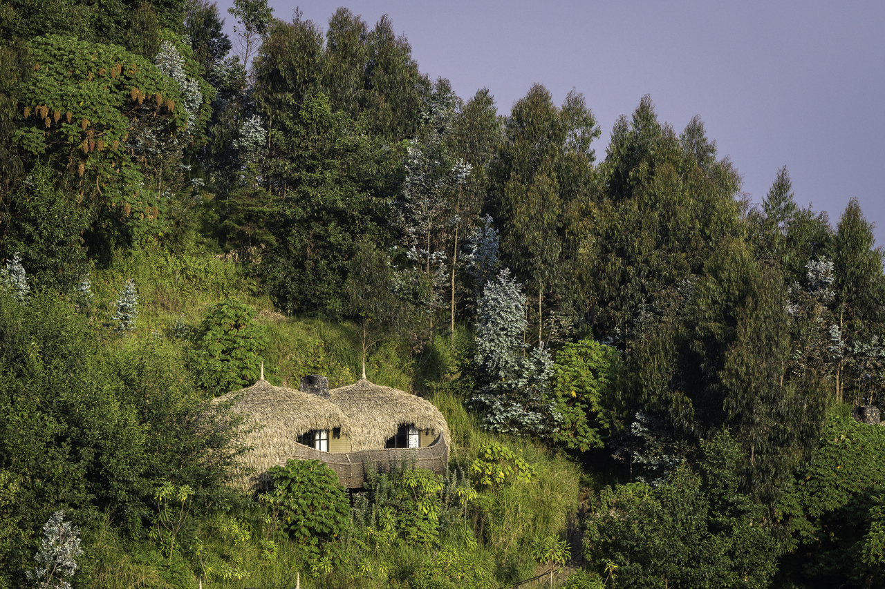 Wilderness Bisate Lodge thumbnail 16