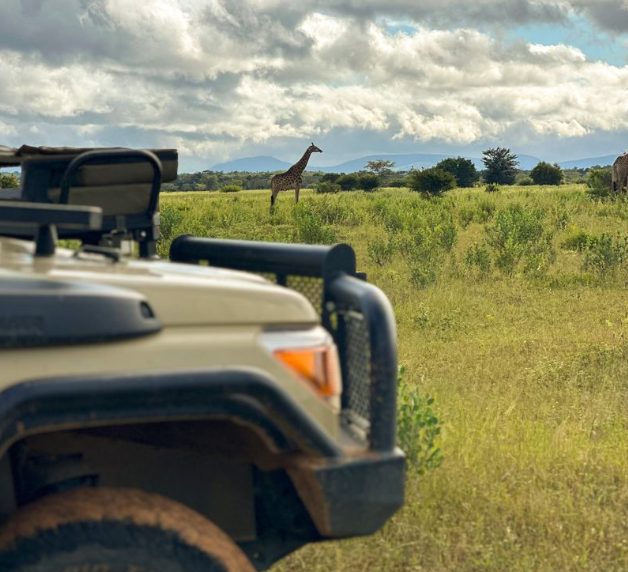 Honeyguide Conservation Lodge thumbnail 8