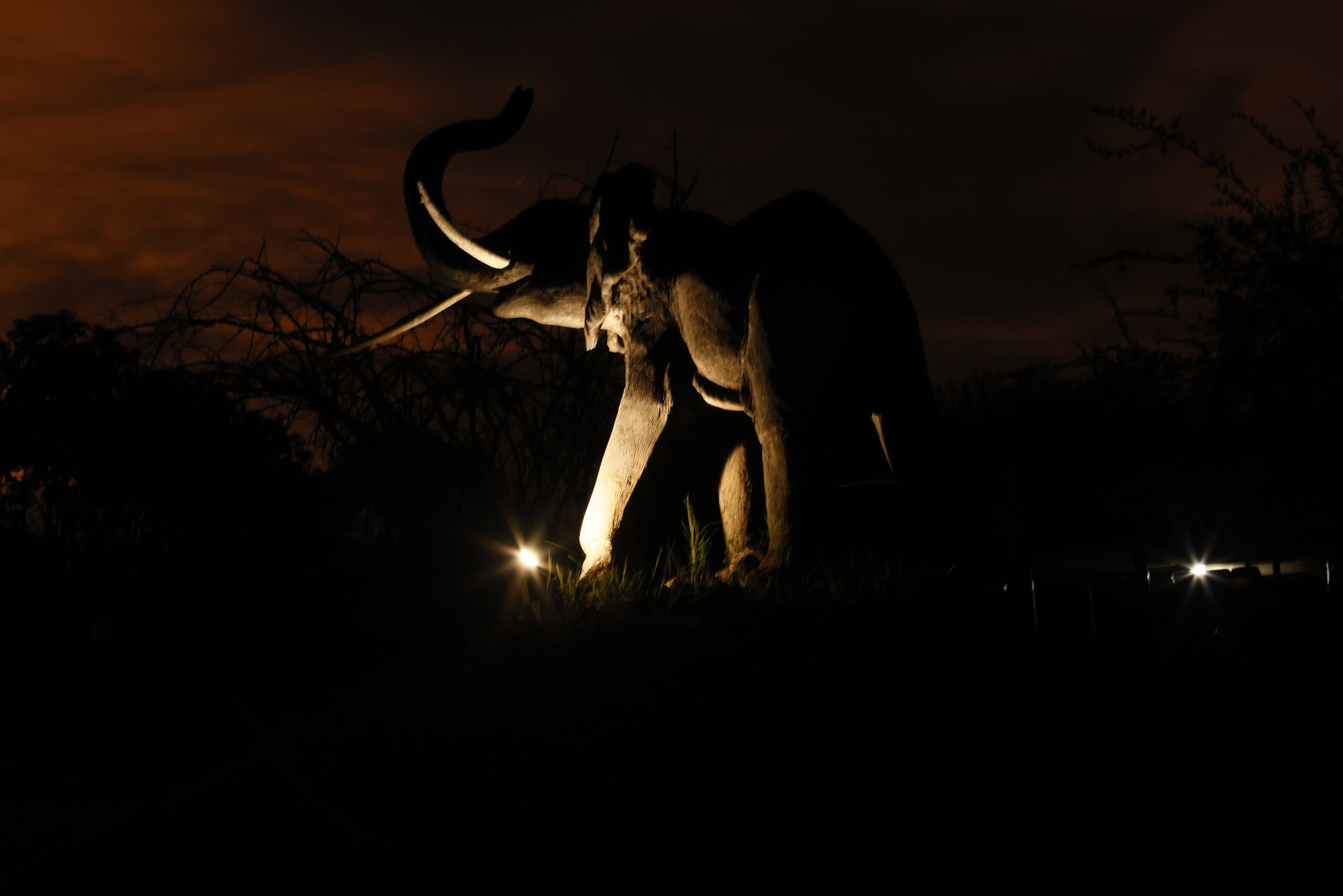 Chisomo Safari Camp thumbnail 11