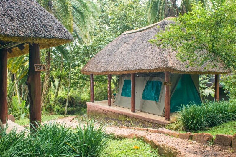 Kibale Forest Camp thumbnail 6