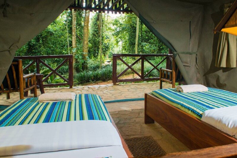 Kibale Forest Camp thumbnail 5