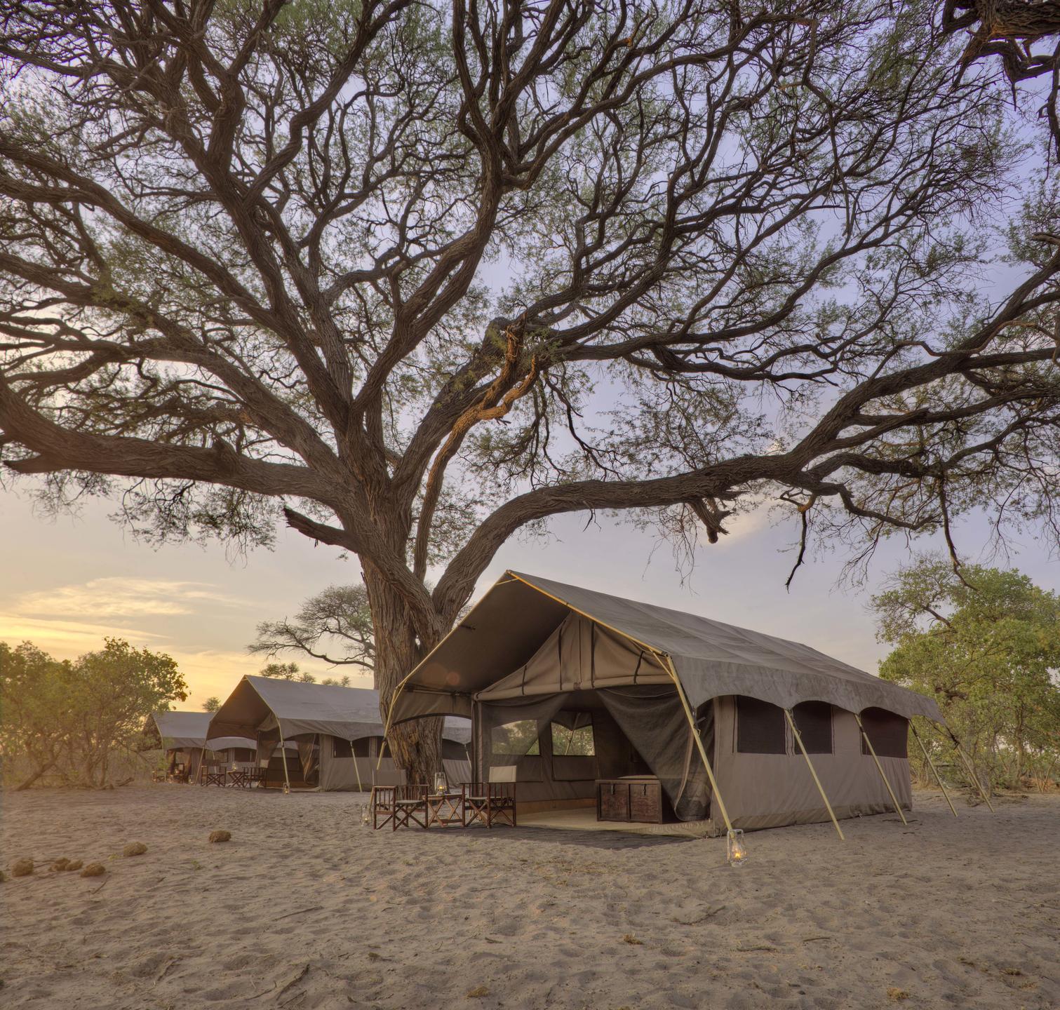 Savute Under Canvas thumbnail 2