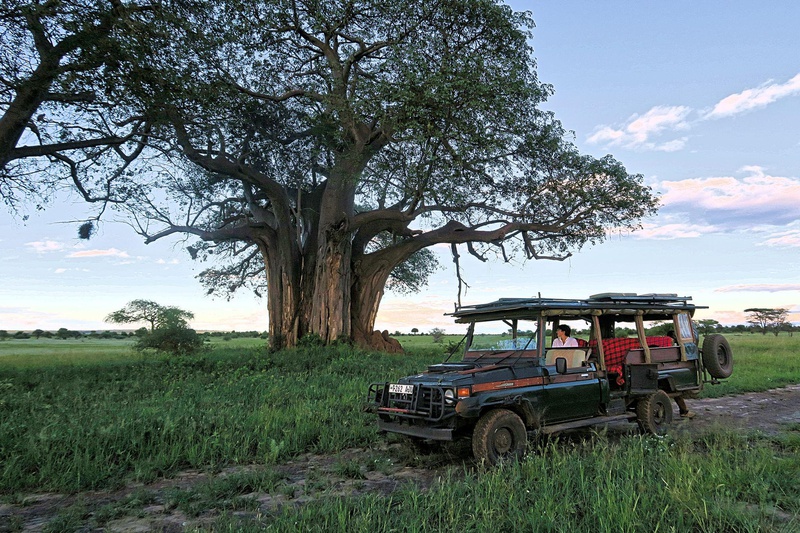 Honeyguide Tarangire Camp thumbnail 11