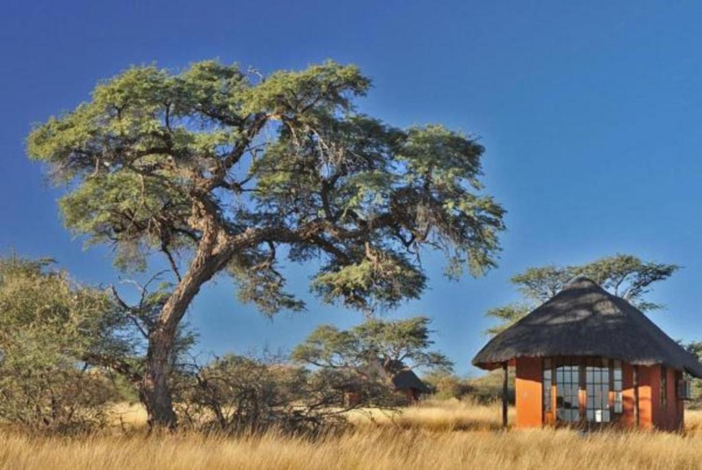 Camelthorn Kalahari Lodge
