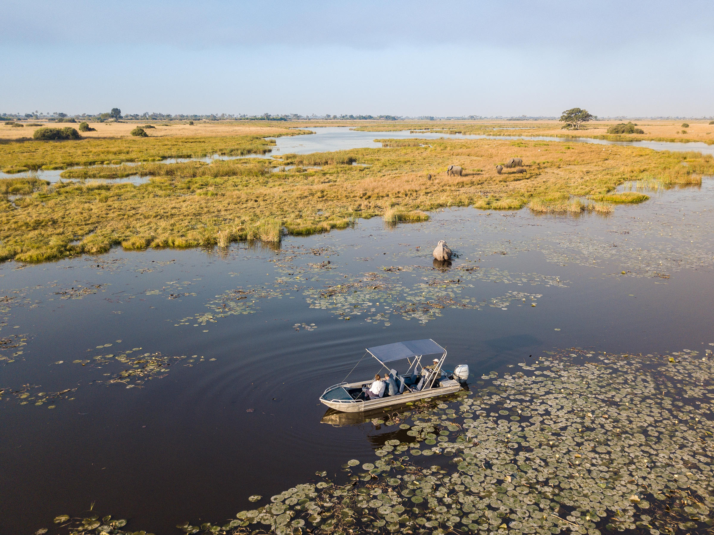 Selinda Camp thumbnail 12