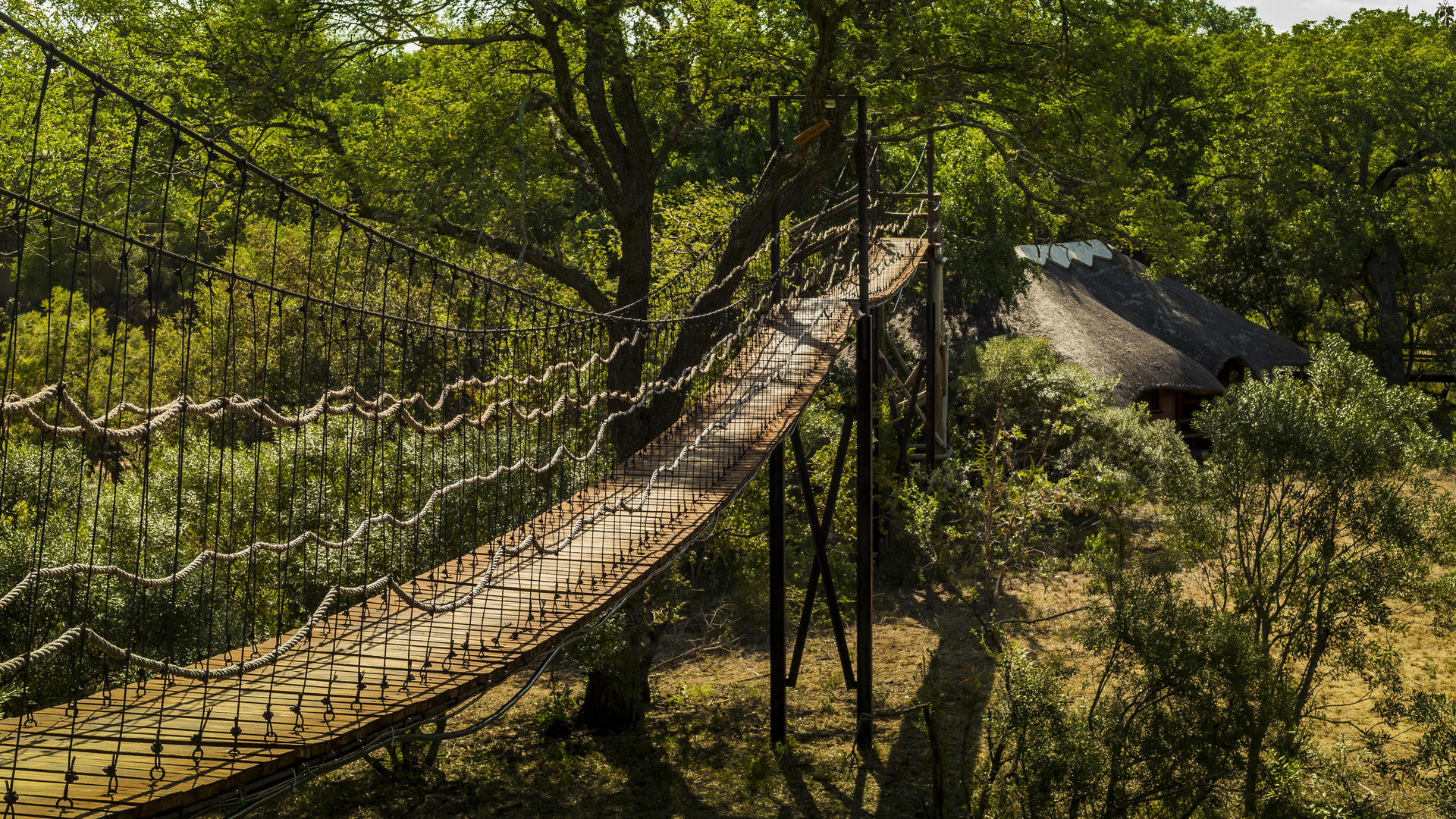 Ulusaba Safari Lodge thumbnail 6