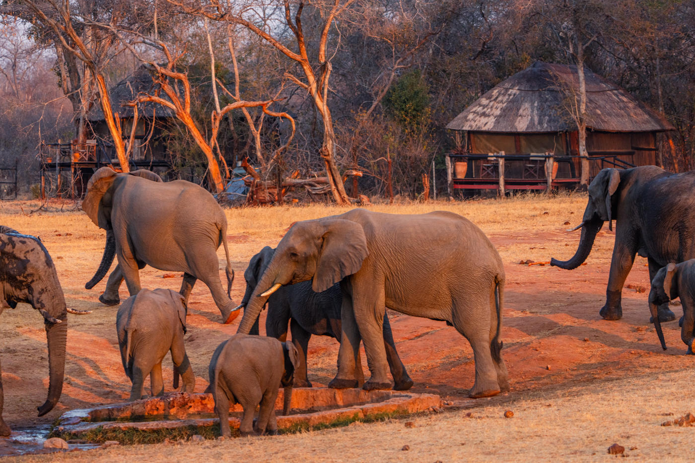 Ivory Lodge thumbnail 13