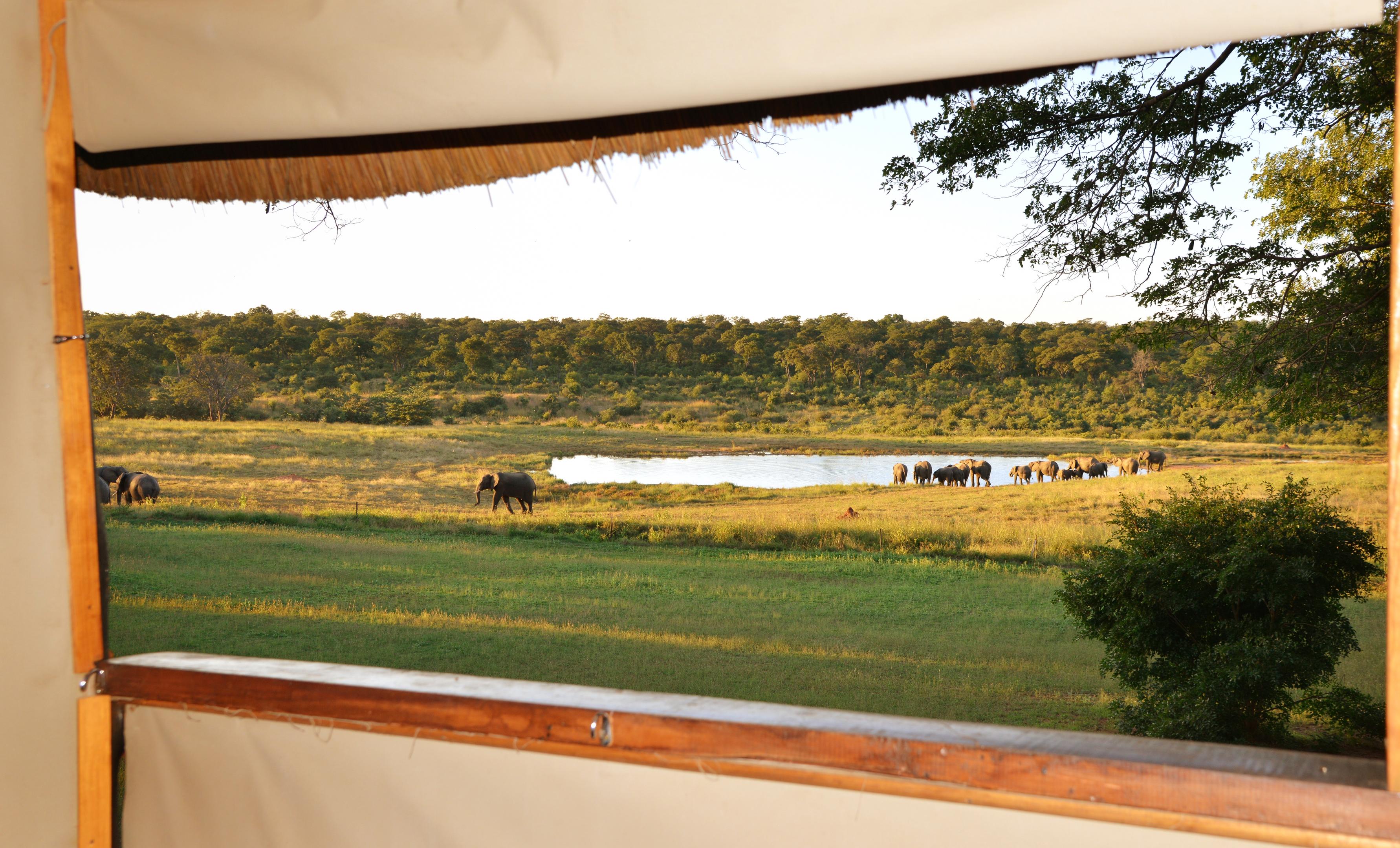 Ivory Lodge thumbnail 6