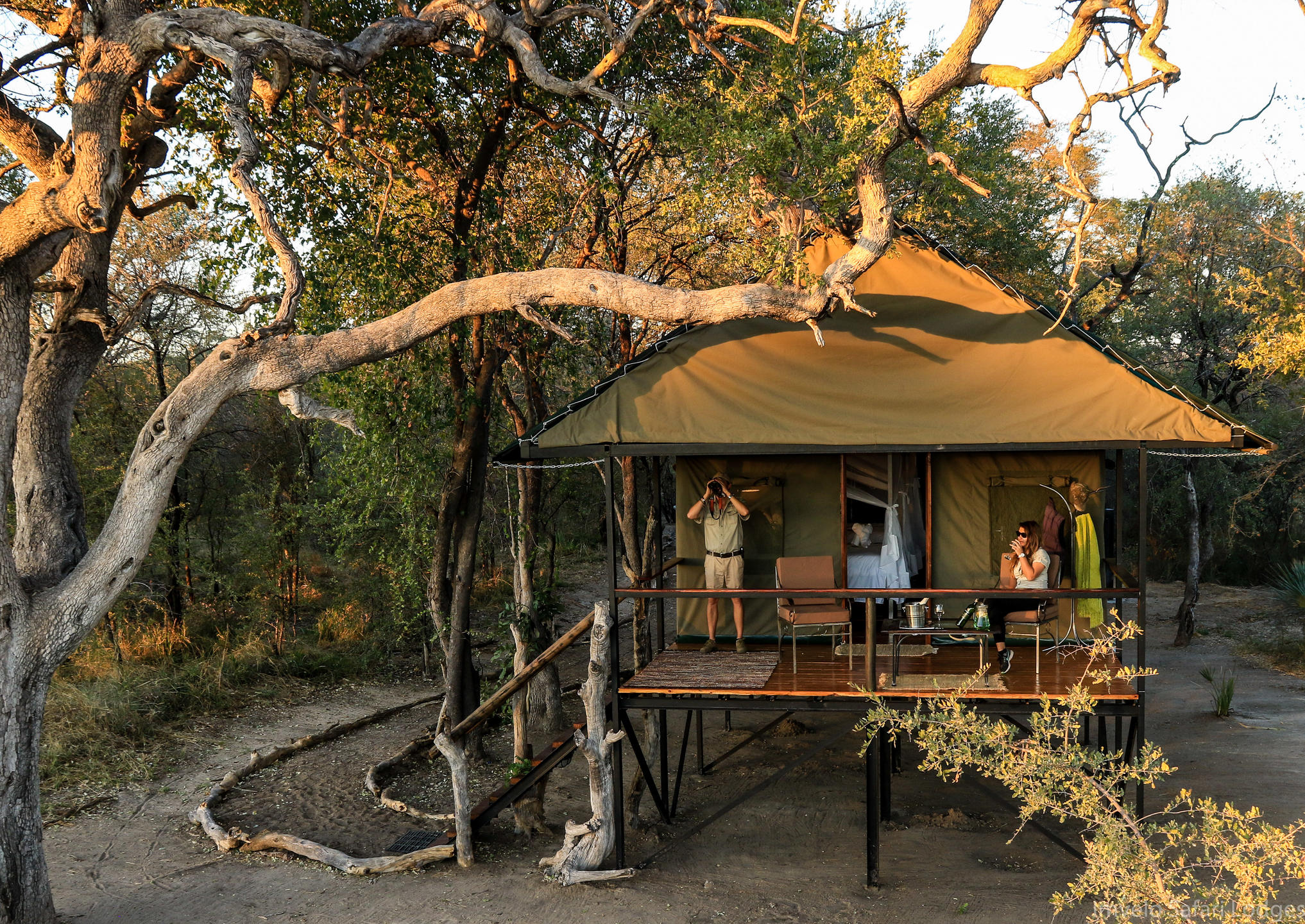 Bomani Tented Lodge thumbnail 5