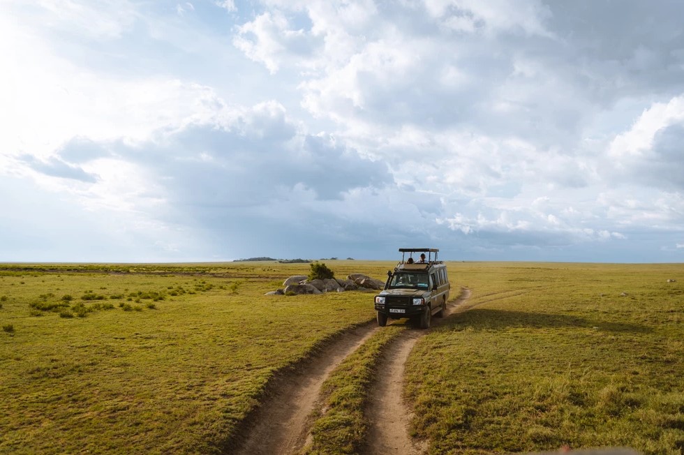 Kirurumu Serengeti South