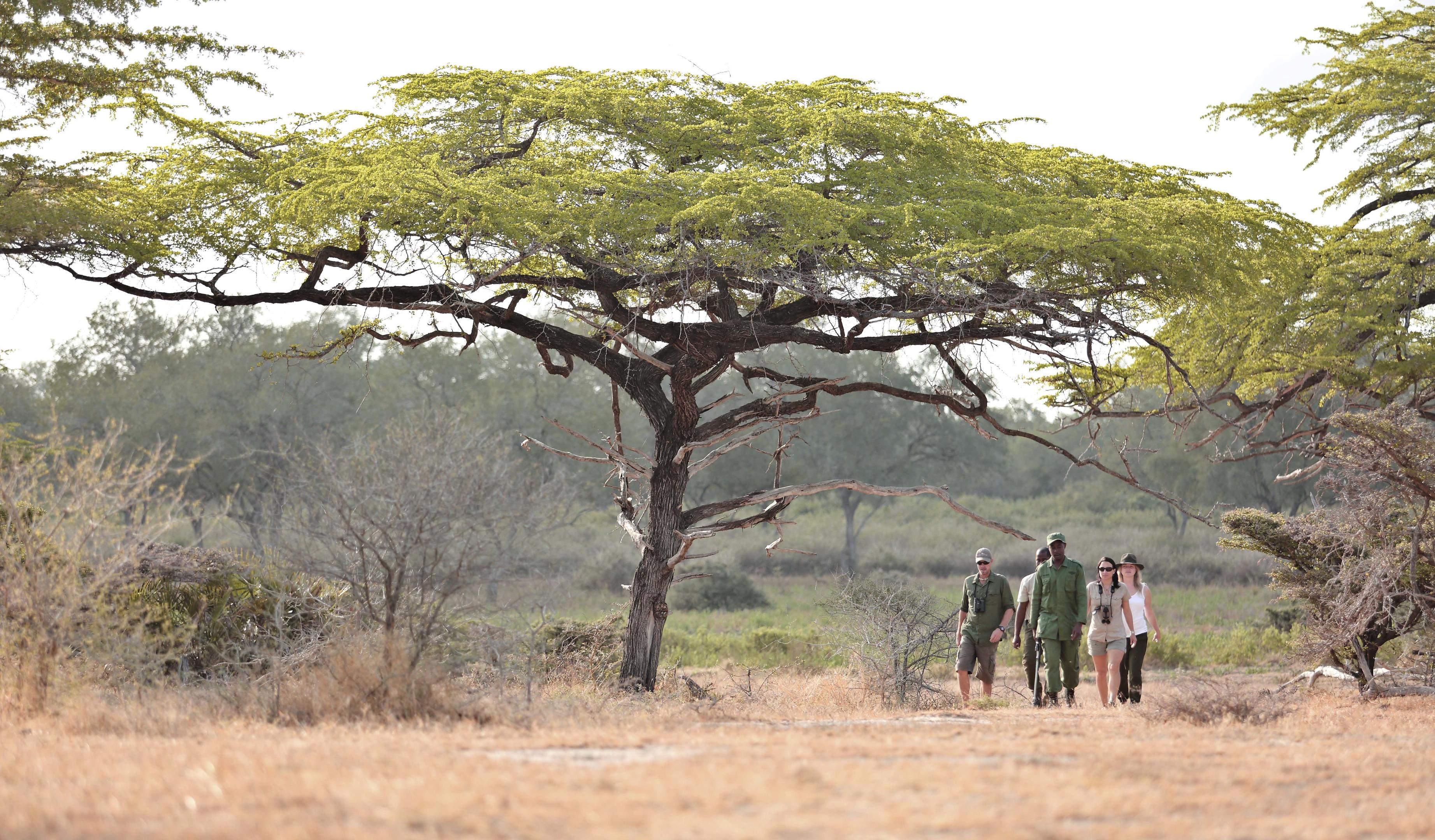 Roho ya Selous thumbnail 13