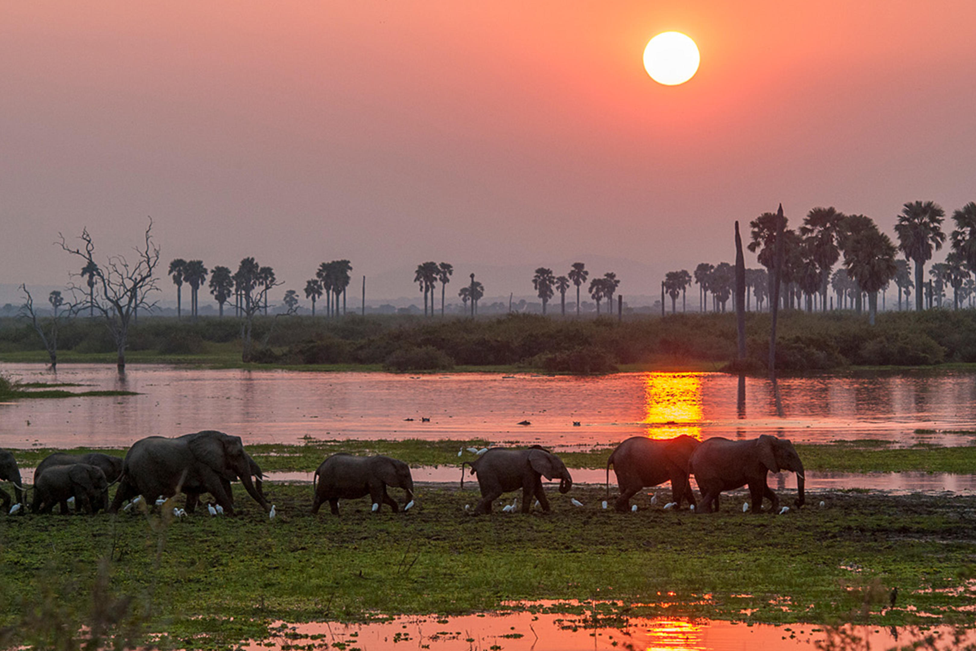 Roho ya Selous thumbnail 14