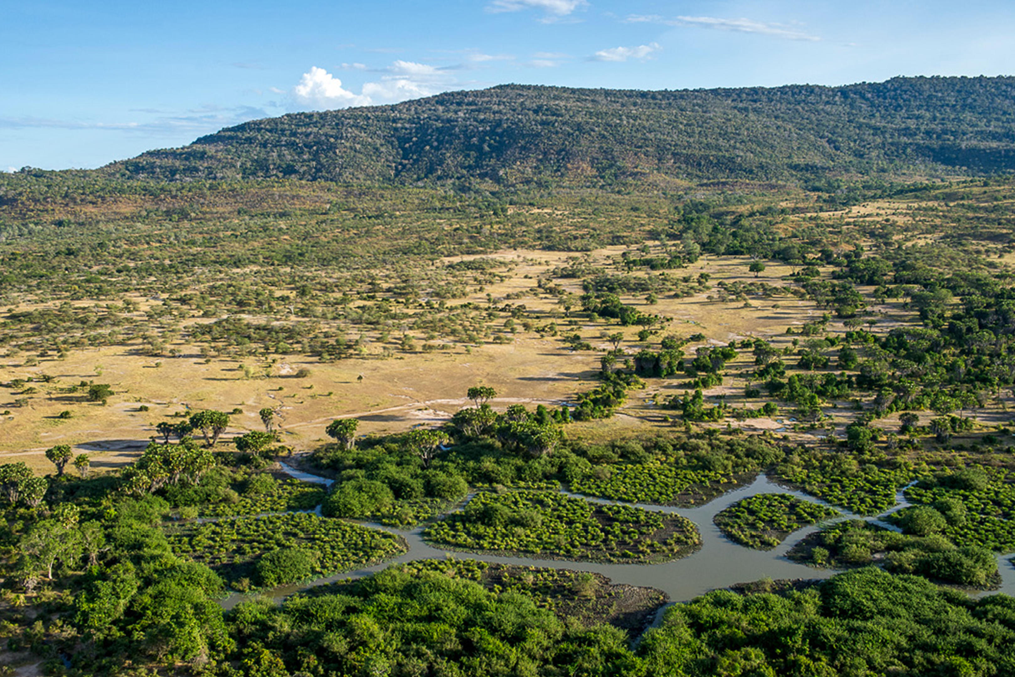 Roho ya Selous thumbnail 15