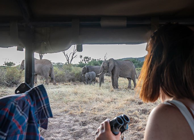 Sarova Shaba Game Lodge thumbnail 5
