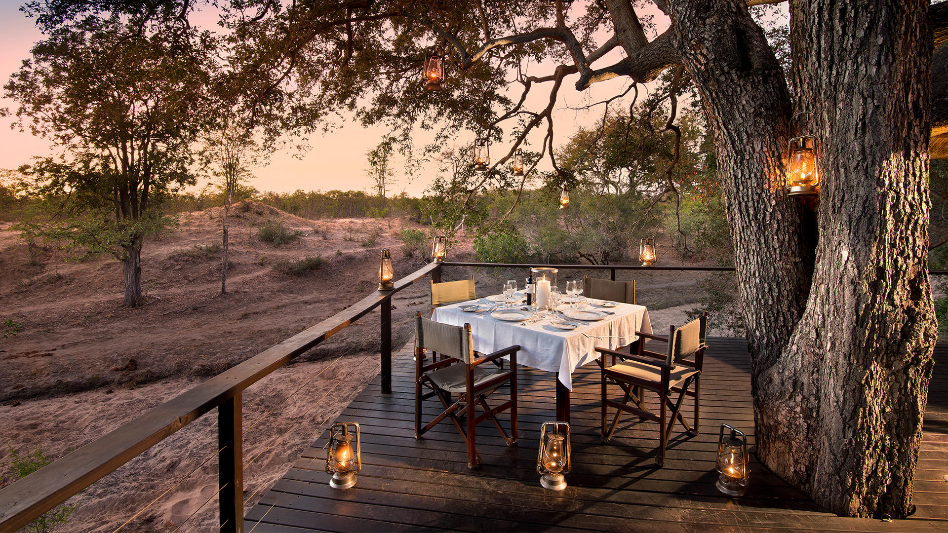 Ngala Safari Lodge thumbnail 6