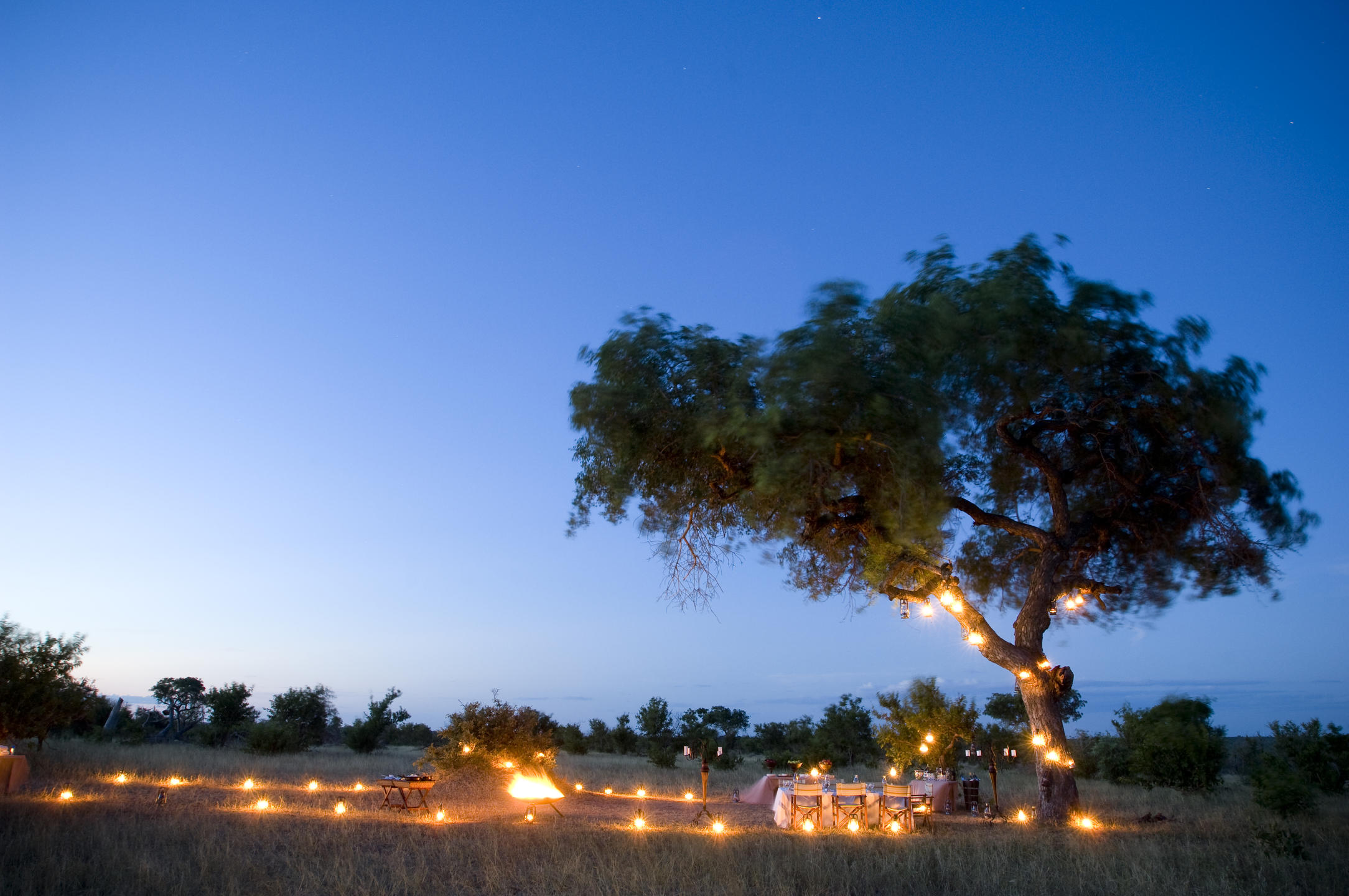 Ngala Safari Lodge thumbnail 3