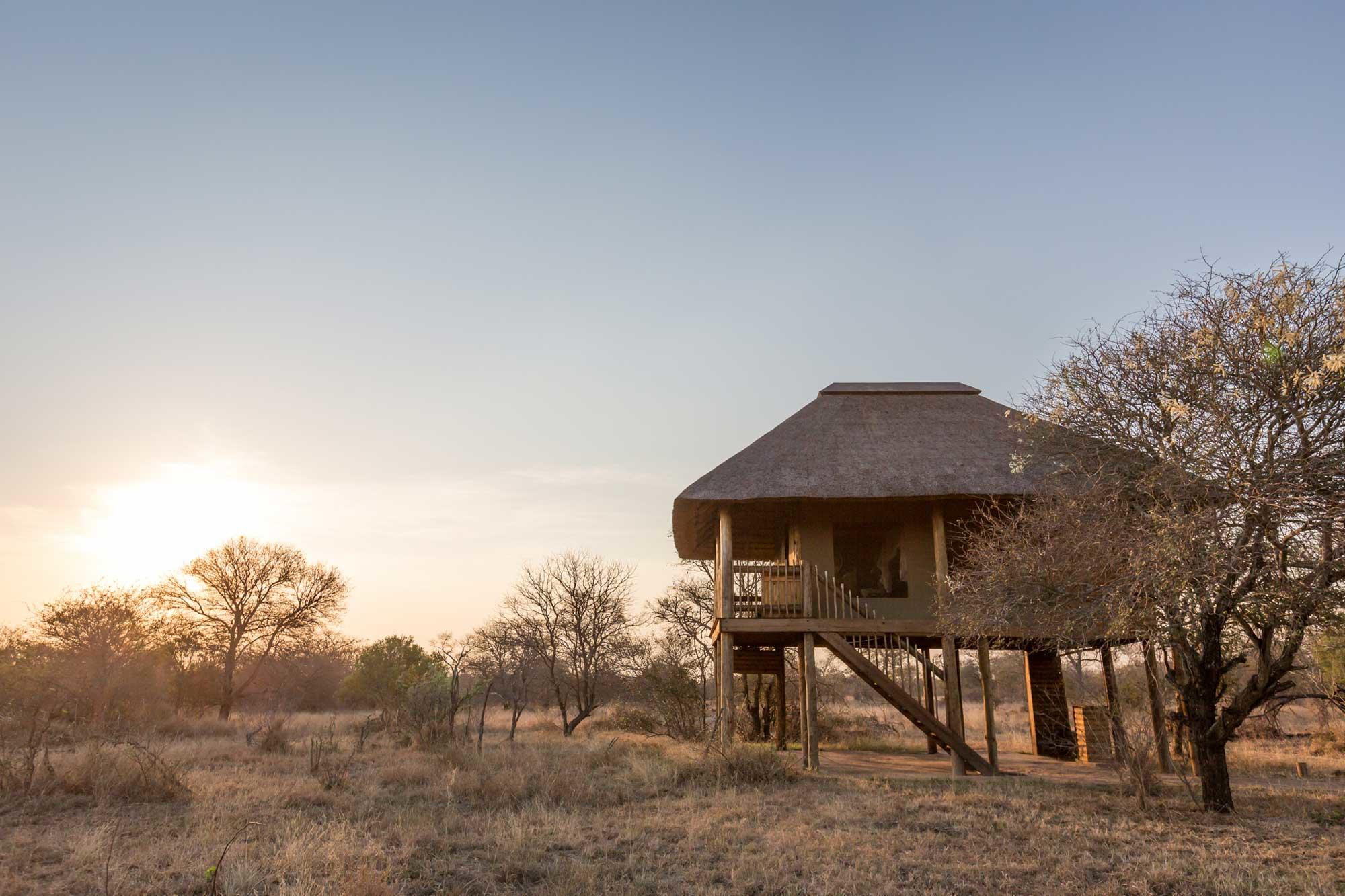 nThambo Tree Camp