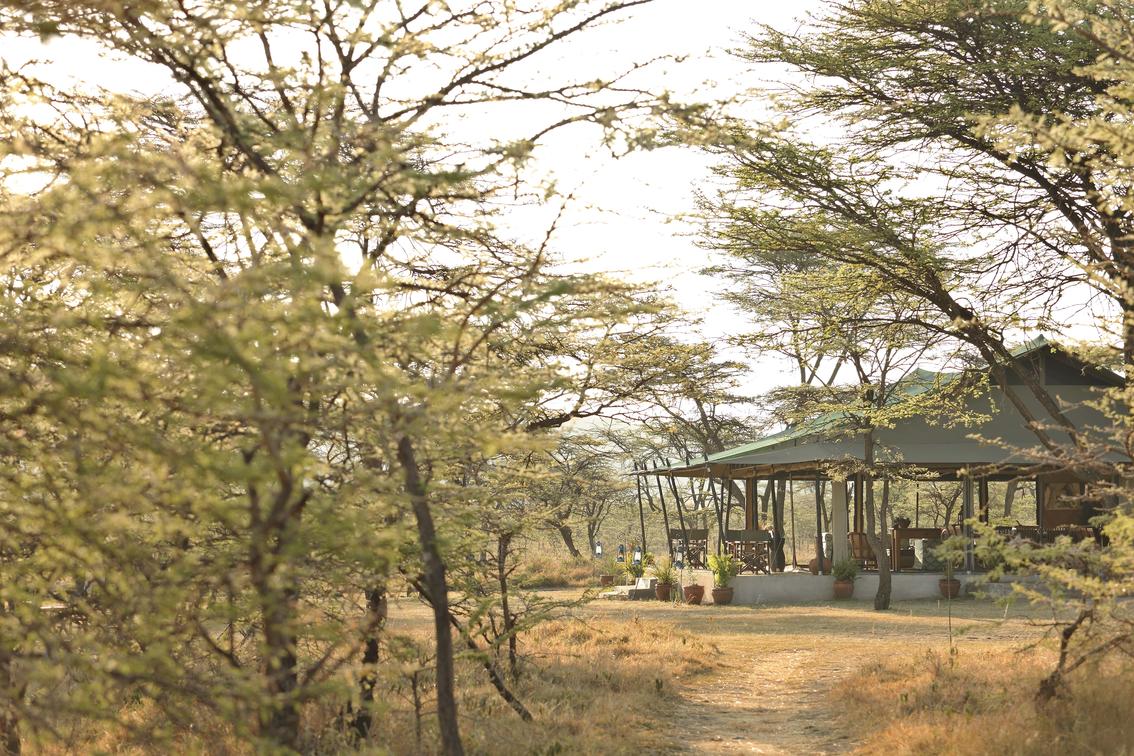 Kicheche Bush Camp thumbnail 1