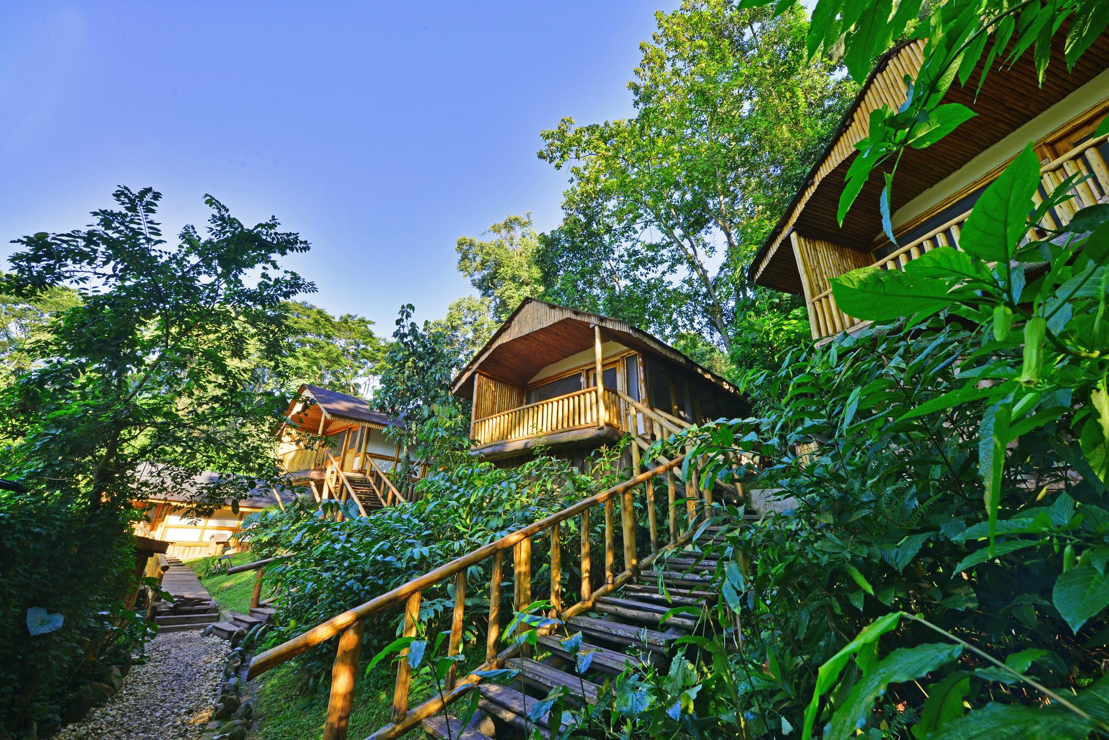 Buhoma Lodge thumbnail 5