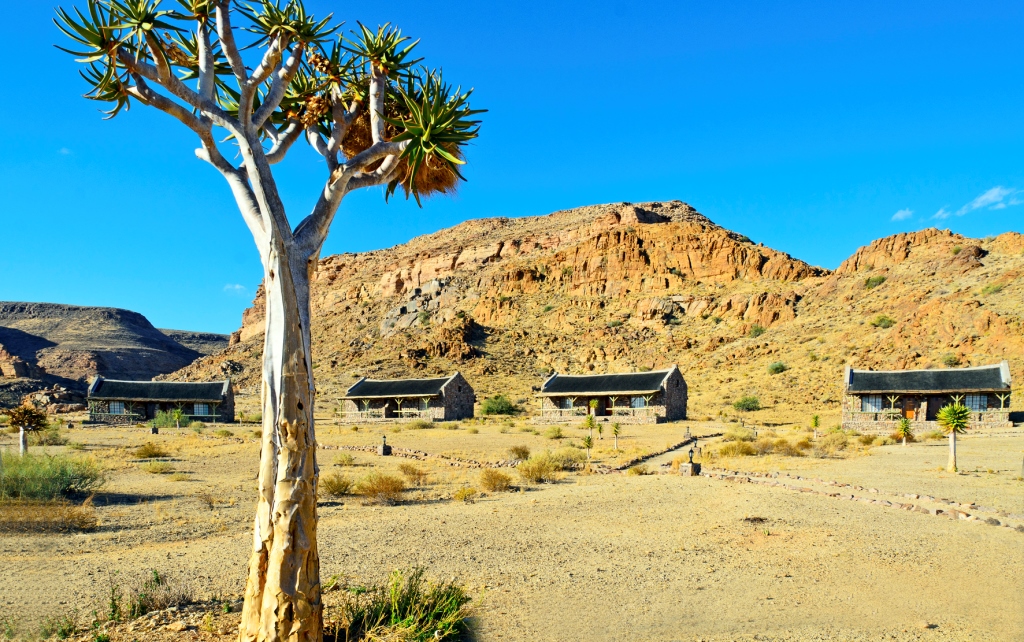 <p>The cabins are located in a dramatic desert landscape</p>